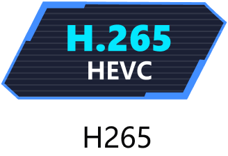 H265